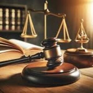 ⚖️ Legal Karma Insight Report